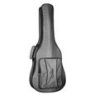 Guitar Cases and More