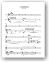 Hahn | W Is For Weasel for guitar & violin