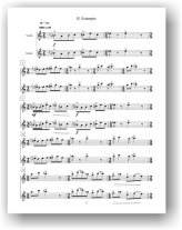 Hahn | W Is For Weasel for guitar & violin