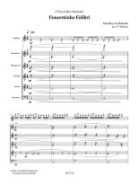 Holanda | Concertinho Colibri for Plectrum Orchestra