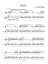 Holmes | Nastrond for guitar and flute