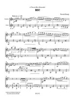 Houdy | Bis! for guitar & mandolin