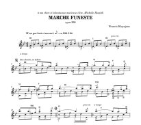 Kleynjans | Marche funeste for solo guitar