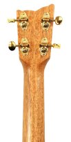 Kremona Mari Concert Ukulele, Solid Mahogany Top With Pickup and Case