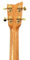 Kremona Mari Tenor Ukulele, Solid Mahogany Top With Pickup and Case