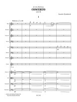Kruisbrink | Concerto for guitar and orchestra - Score