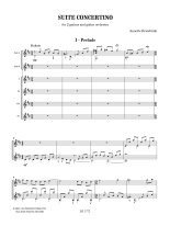 Kruisbrink | Suite Concertino for guitar orchestra
