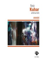 Kuhar | Amabie for guitar and violin