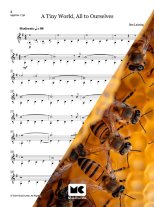 Lahring | Tiny Worlds for solo guitar, Level 2 - PDF Download