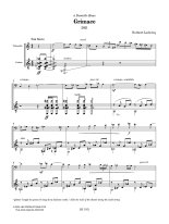 Leclercq | Grimace for guitar & cello