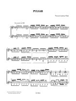 Lindsey-Clark | Pulsar for 2 guitars