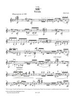 Luiz | Xie for solo guitar