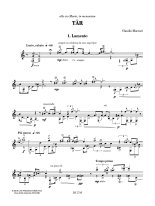 Maccari | Tar for solo guitar