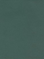 Micromesh on Double Sided Foam Green Pad 4000 grade, one pad
