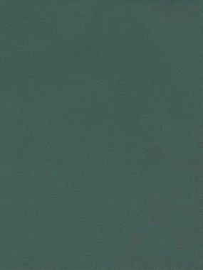 Micromesh on Double Sided Foam Green Pad 4000 grade, one pad
