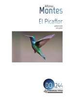 Montes | El Picaflor for solo guitar