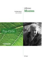 Montes | Pop Cycle for solo guitar