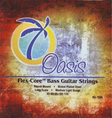 Oasis Electric Bass 5-String Long Scale, Full Set