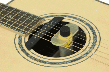 Oasis Plus + Guitar Soundhole Humidifier