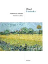 Pavlovits | Open your Head for 5 guitars