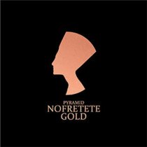 Pyramid NOF-X Nofretete X Gold Electric Guitar Strings Light 10-46