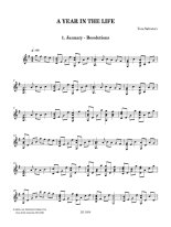 Salvatori | A Year in the Life for solo guitar