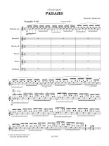 Sandoval | Paisajes for plectrum orchestra