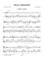 Schubert | Sonata Arpeggione for guitar & cello