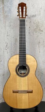 Sold 2017 Classical Guitar by Luthier Leonardo de Gregorio - Spruce, Indian Rosewood