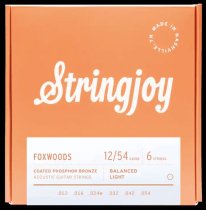 Stringjoy Foxwoods | Light Gauge (12-54) Coated Phosphor Bronze Acoustic Guitar Strings