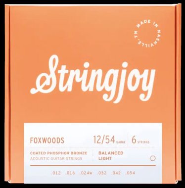 Stringjoy Foxwoods | Light Gauge (12-54) Coated Phosphor Bronze Acoustic Guitar Strings