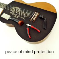 Strings By Mail Bridge-Bib&trade; Guitar String Change Protection