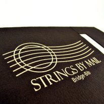 Strings By Mail Bridge-Bib&trade; Guitar String Change Protection