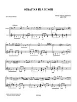 Telemann arr. by Marx | Sonatina in A minor for guitar and bassoon