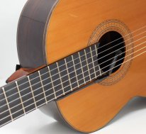 the2MicPRO&trade; | Classical - Flamenco Dual Soundhole Mic PRO Model