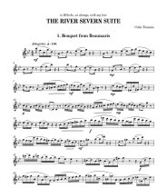 Tommis | The River Severn Suite for solo flute