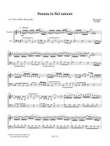 Various | Sonata in Sol minore for mandolin and bass