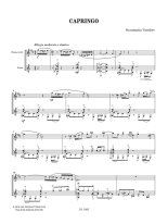 Vassilev | Capringo for guitar and clarinet