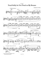 Verdery | Tread Softly for You Tread on My Dreams for solo guitar