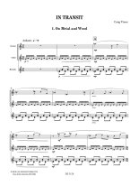 Visser | In Transit for clarinet, guitar & marimba
