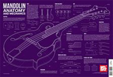 Wall Chart | Mandolin Anatomy and Mechanics